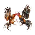 Promo Event Imlek: Semarak Perayaan dengan Angpao dan Kebersamaan